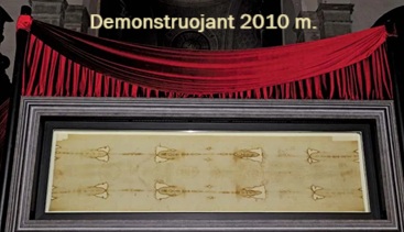 Vieas demonstravimas 2010 m.