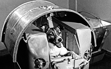 Laika treniruojasi