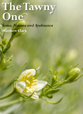 The Tawny One: Soma, Haoma, and Ayahuasca, 2017